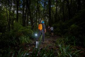 BIB: 
                            <button type="button" onclick="openModal(19236842)" class="btn btn-primary btn-sm float-right btn-popup" data-toggle="modal" data-target=".modal-high-quality">
                        <i class="fas fa-shopping-cart"></i> Add to Cart
                    </button>
                                            <button type="button" onclick="isThisMe(19236842, true)" class="btn btn-success btn-sm float-right btn-popup btn-isme hidden" data-toggle="tooltip" data-placement="bottom" title="นี่คือรูปของคุณใช่ไหม คลิกที่นี่เพื่อเอาเข้าอัลบั้ม">
                        <i class="fas fa-plus"></i> Add to album
                    </button>
                    <button type="button" onclick="isThisMe(19236842, false)" class="btn btn-warning btn-sm float-right btn-popup btn-isnotme hidden">
                        <i class="fas fa-ban"></i> Remove from album
                    </button>